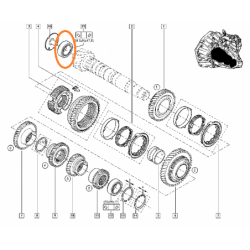 Łożysko skrzyni biegów...