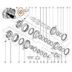 Łożysko skrzyni biegów...